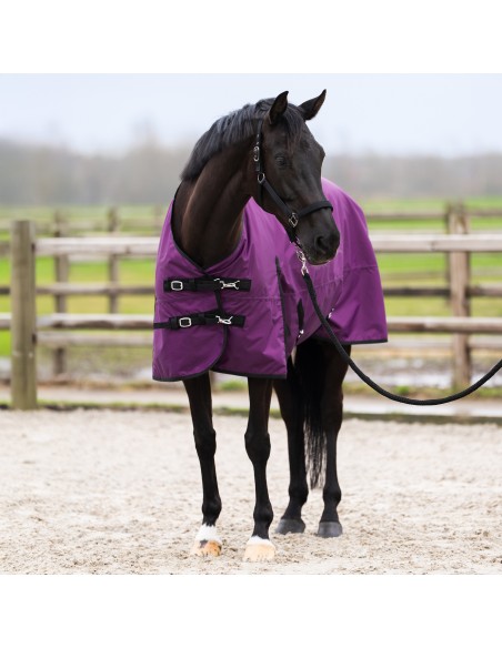 IRHLimited Summer Paddockdecke mit Halskante Imperial Riding