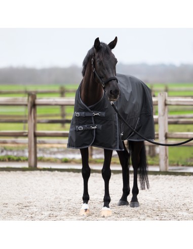 IRHLimited Summer Paddockdecke mit Halskante Imperial Riding