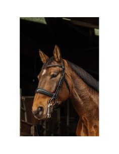 Bride NORTON PRO - Basal