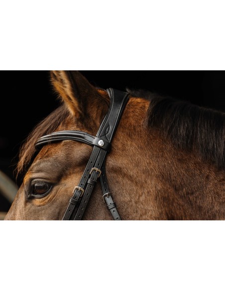 Brida NORTON PRO - Basal