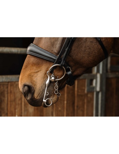 NORTON PRO-Klemme – Basal