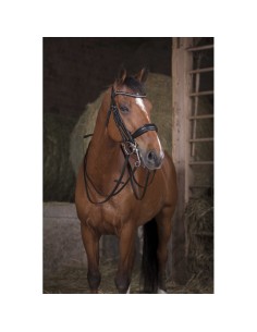 NORTON PRO-Zaumzeugzügel – 13 mm 2