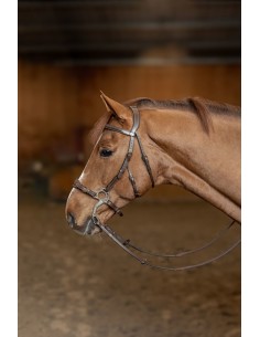 Brida hackamore HFI
