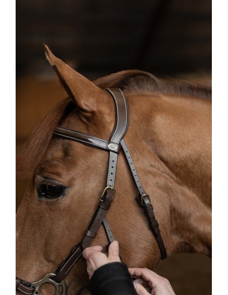 Brida hackamore HFI