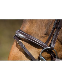 Elegante HFI-Trense 2