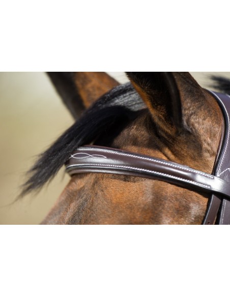 Brida elegante HFI
