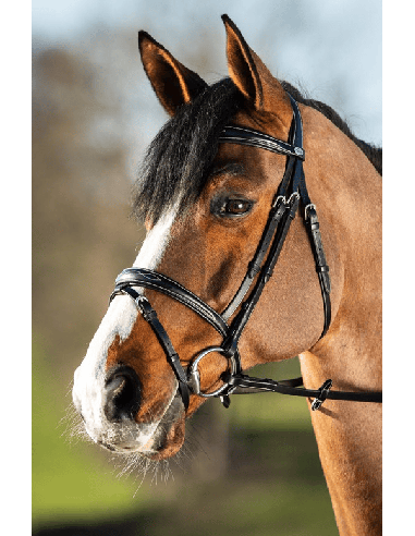 Elegante HFI-Trense