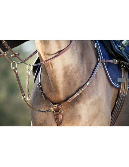 Langes Jagdhalsband „Bridge“ von HFI