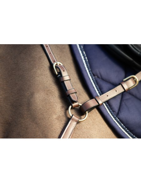 Langes Jagdhalsband „Bridge“ von HFI