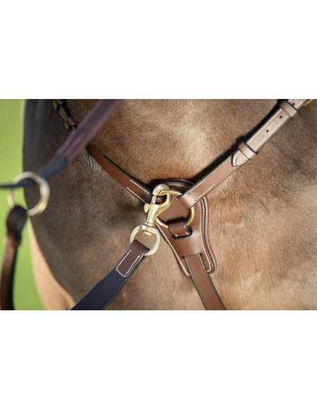 Collier de chasse long bridge HFI