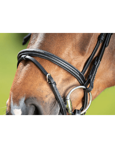Komfort-Trense mit anatomisch geformtem Kopfstück und gepolstertem Reithalfter aus weichem HFI-Leder