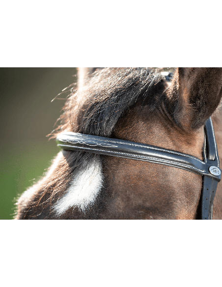 Bridon confort avec têtière anatomique et rembourrage muserolle en cuir souple HFI