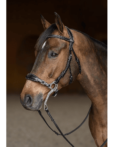 HFI-Hackamore-Zaumzeug