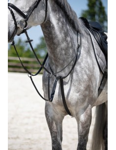 Martingale a anneaux HFI