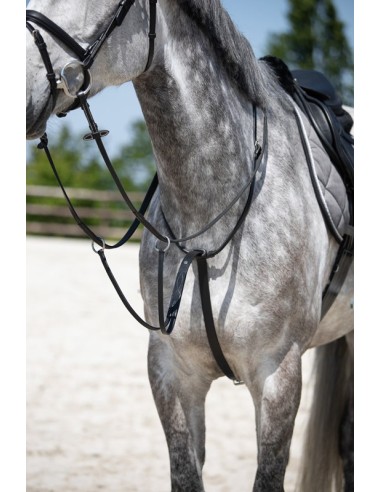 HFI-Martingal mit Ringen