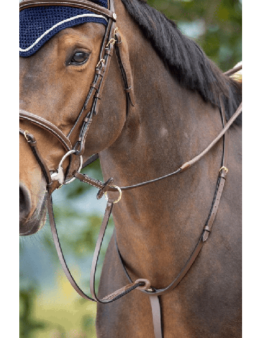 HFI-Martingal mit Ringen