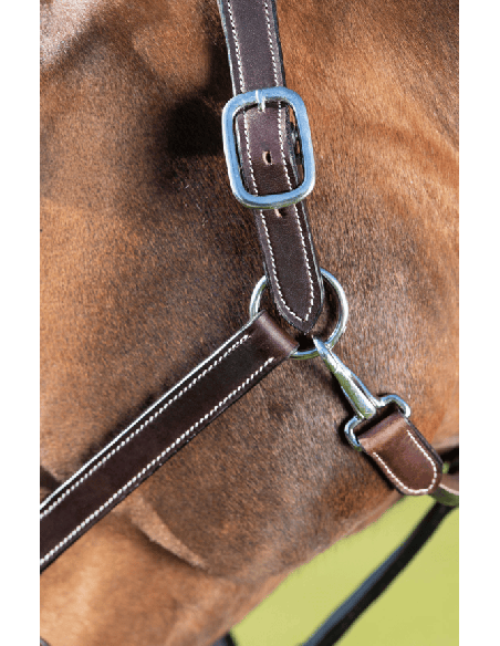 Gepolstertes, doppelt verstellbares Flat-Halfter mit weichem Lederfutter von HFI