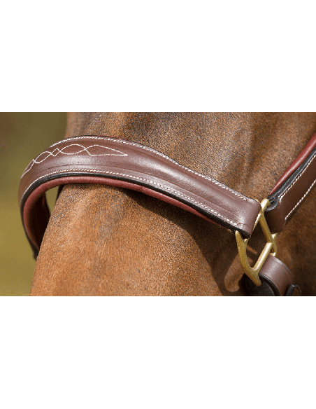 Licol grooming HFI à têtière anatomique double réglage rembourrée en cuir souple
