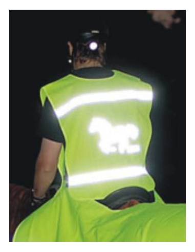 gilet-fluo-et-reflechissant-de-securite-taille-enfants