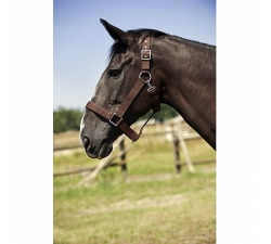 licol-nylon-cheval-de-trait