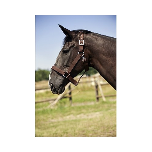 SELLE WESTERN CHEVAL CUIR bride plastron col Tack Set Medium Noir Ou
