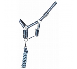 TdeT Licol doublé cuir et longe US Marine / Ciel