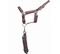 TdeT Licol doublé cuir et longe US Bordeaux / Gris