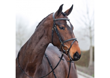 Filet Constance Horze poney au trait