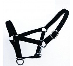 Licol grand cheval Titan controller garanti 10 ans Best-Rider