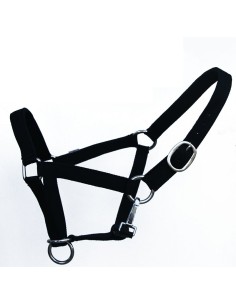 Licol grand cheval Titan controller garanti 10 ans Best-Rider