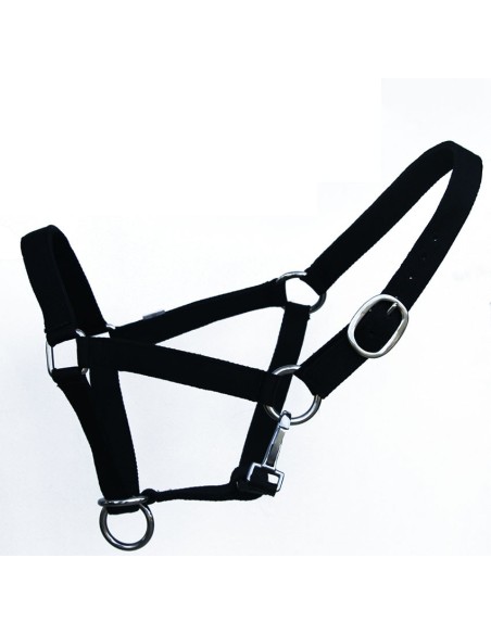 Licol grand cheval Titan controller garanti 10 ans Best-Rider