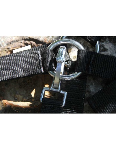 Licol grand cheval Titan controller garanti 10 ans Best-Rider