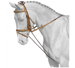 Enrenement élastique fixe