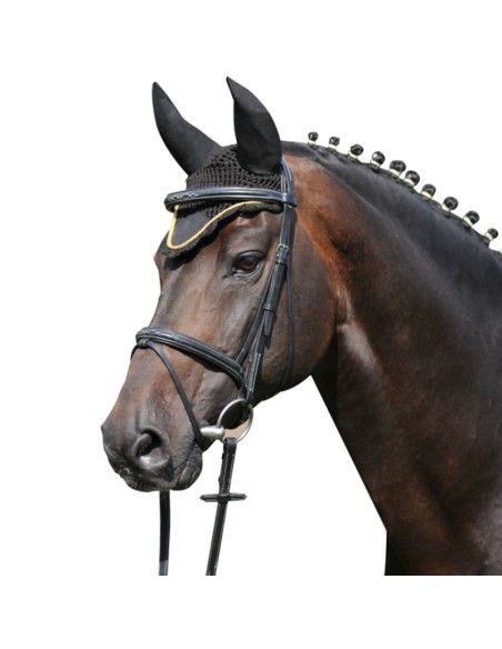 Fliegenhaube