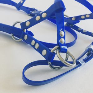 détail Side Pull Bleu
