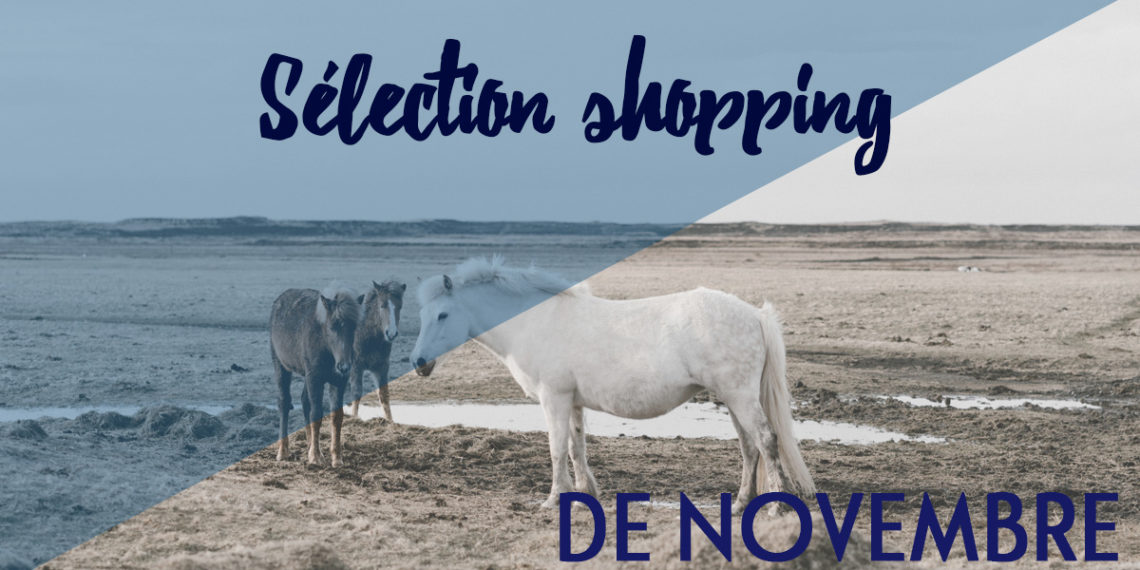 Selection shopping novembre