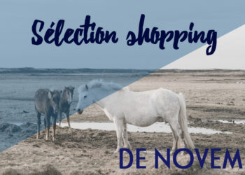 Selection shopping novembre