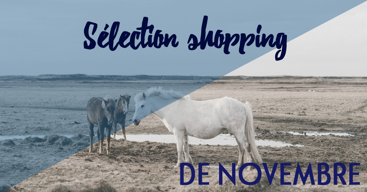 Selection shopping novembre
