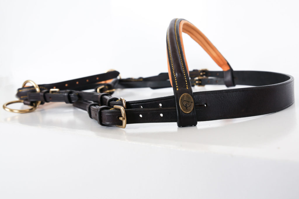 bridon bitless cuir DMH•Equitation