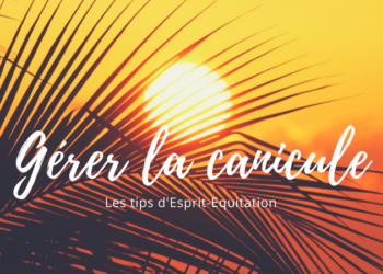 visuel banner