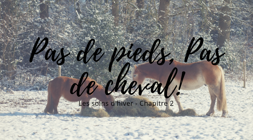visuel bannière d'article