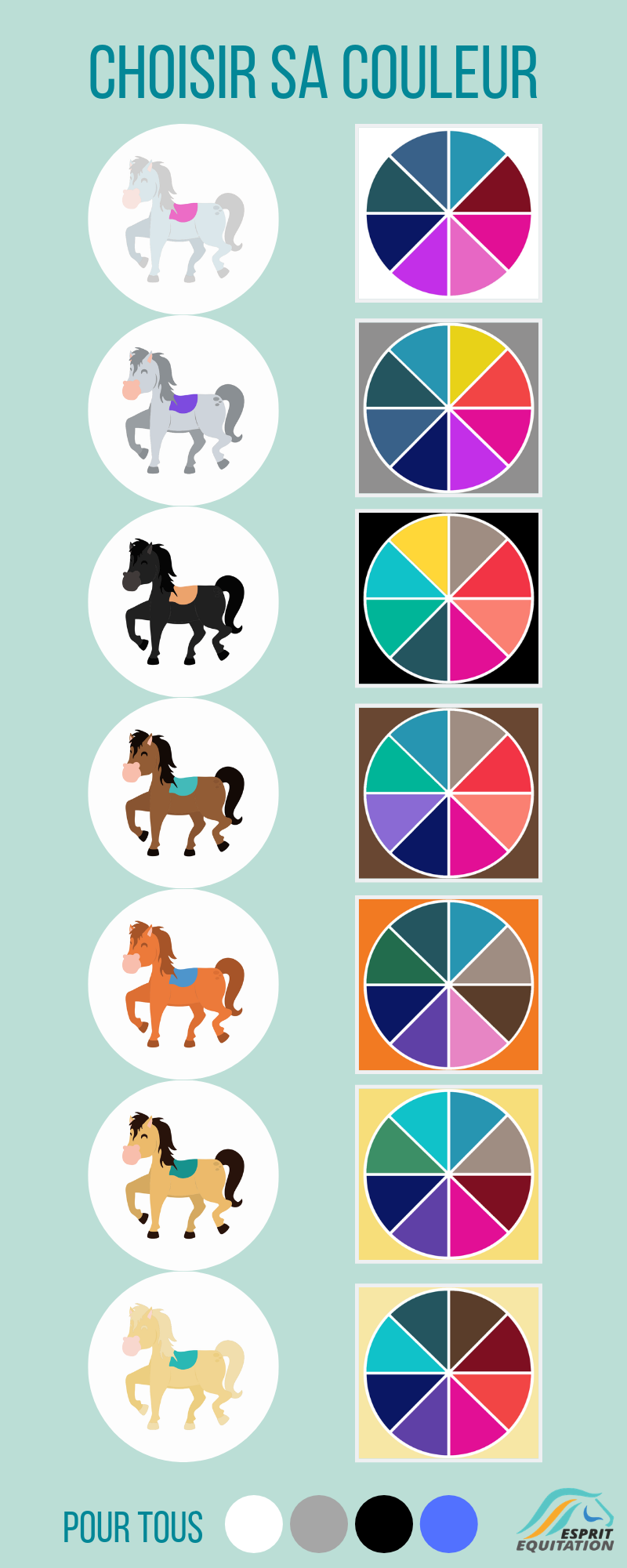 infographie couleurs équipement en fonction de la robe du cheval/poney