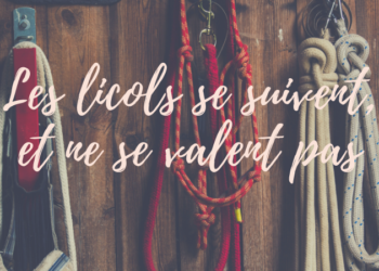 les licols se suivent et ne se valent pas