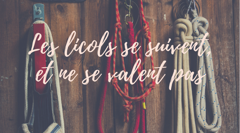les licols se suivent et ne se valent pas