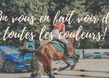 bannière présentation article
