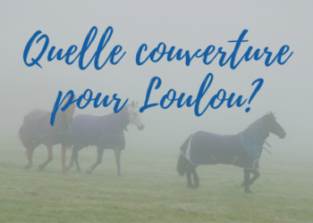header d'article