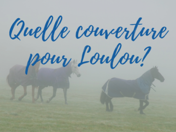 header d'article