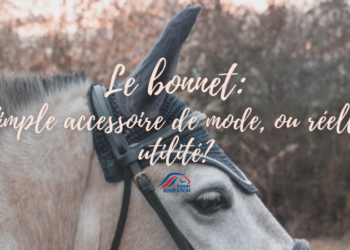 bannière article