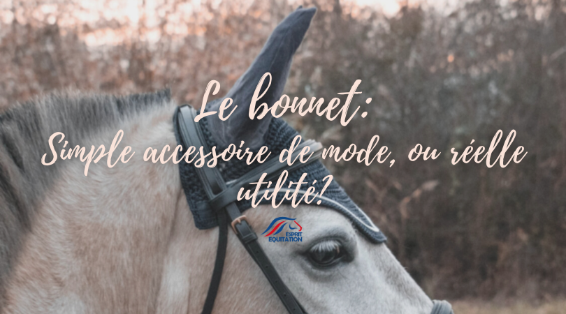 bannière article