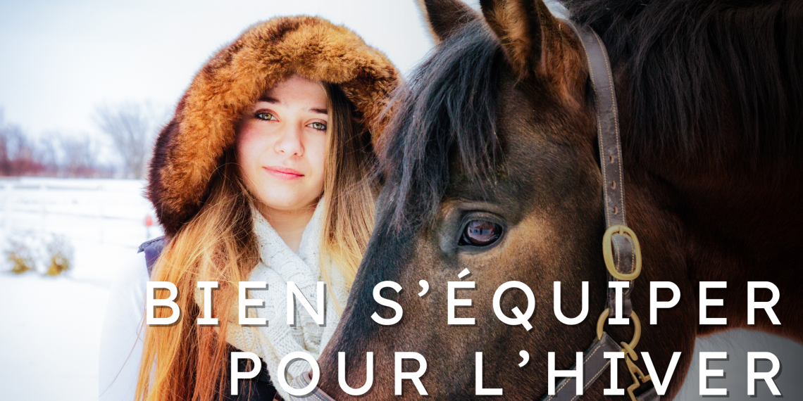 bannière. cheval et cavalière en hiver